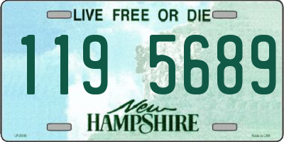 NH license plate 1195689
