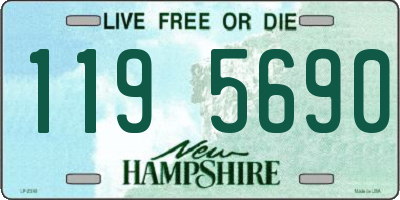 NH license plate 1195690