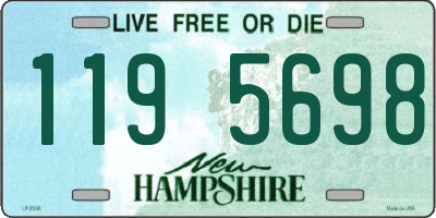 NH license plate 1195698