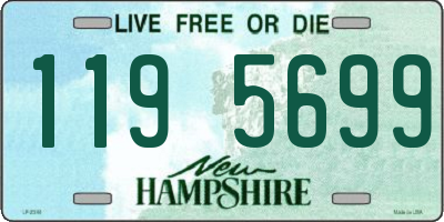 NH license plate 1195699