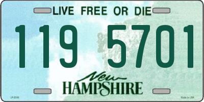 NH license plate 1195701