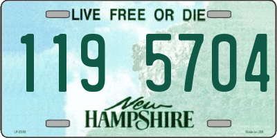 NH license plate 1195704