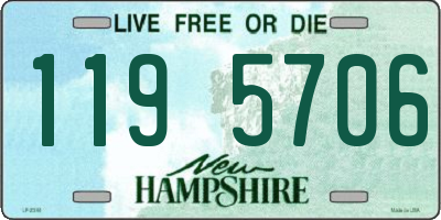 NH license plate 1195706