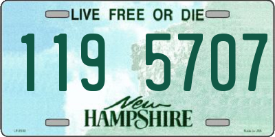 NH license plate 1195707