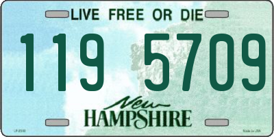 NH license plate 1195709