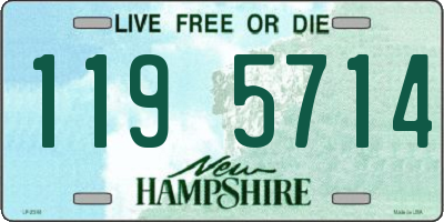 NH license plate 1195714