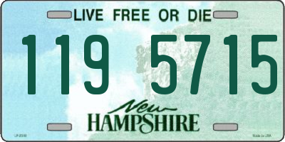 NH license plate 1195715