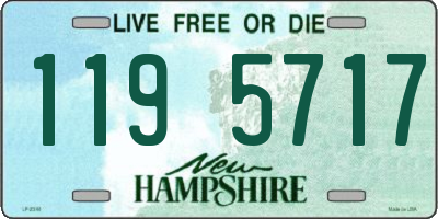 NH license plate 1195717
