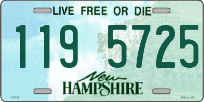 NH license plate 1195725