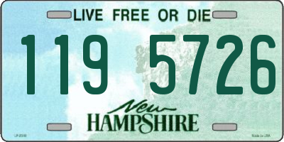 NH license plate 1195726