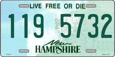 NH license plate 1195732
