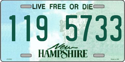 NH license plate 1195733