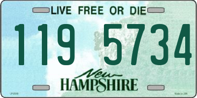 NH license plate 1195734