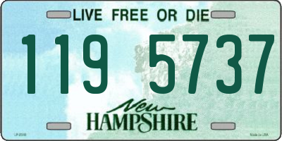 NH license plate 1195737