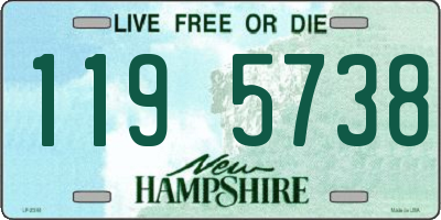 NH license plate 1195738
