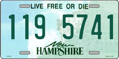 NH license plate 1195741