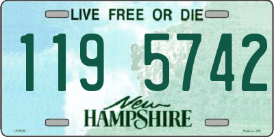NH license plate 1195742
