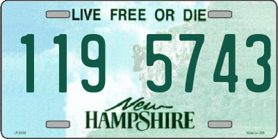 NH license plate 1195743