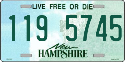 NH license plate 1195745
