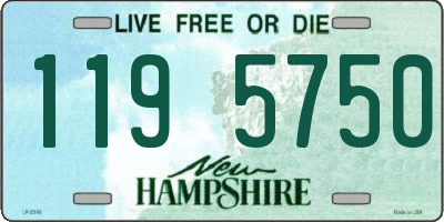 NH license plate 1195750