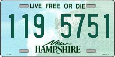 NH license plate 1195751