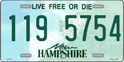 NH license plate 1195754