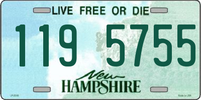 NH license plate 1195755