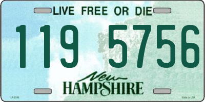 NH license plate 1195756