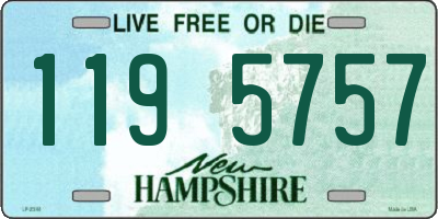 NH license plate 1195757