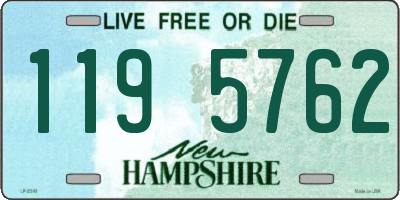 NH license plate 1195762