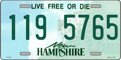 NH license plate 1195765