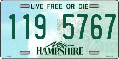 NH license plate 1195767