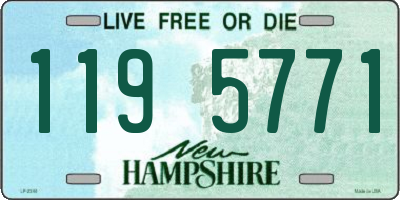 NH license plate 1195771