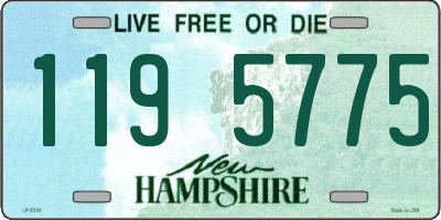 NH license plate 1195775