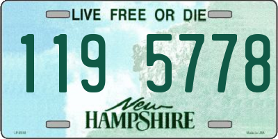 NH license plate 1195778