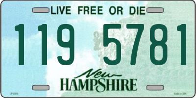 NH license plate 1195781