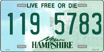 NH license plate 1195783