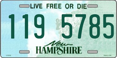 NH license plate 1195785