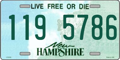 NH license plate 1195786