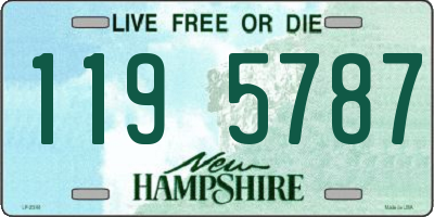 NH license plate 1195787