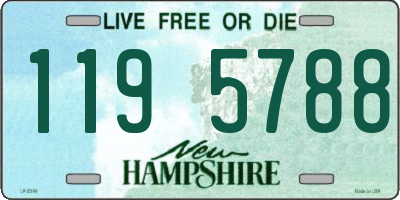 NH license plate 1195788