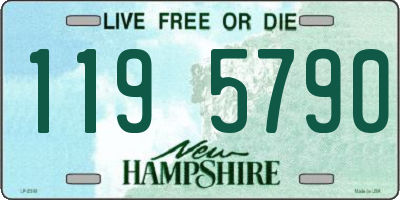 NH license plate 1195790
