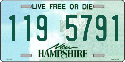 NH license plate 1195791