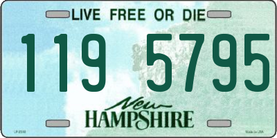 NH license plate 1195795