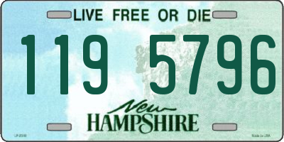 NH license plate 1195796