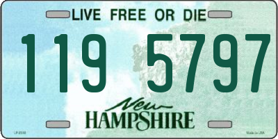 NH license plate 1195797