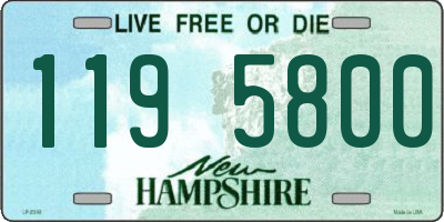 NH license plate 1195800