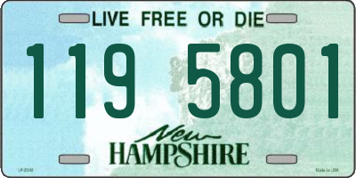 NH license plate 1195801