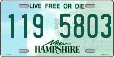 NH license plate 1195803