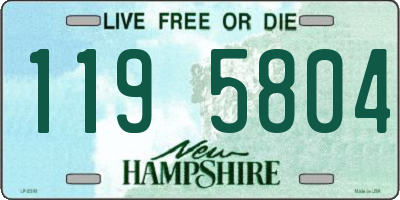 NH license plate 1195804